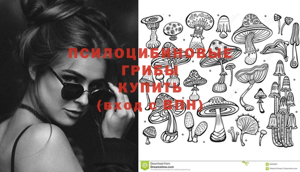 ешки Дмитров