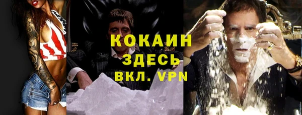 ешки Дмитров