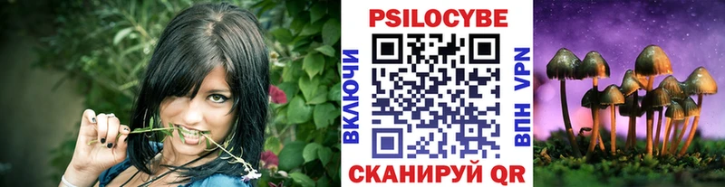 магазин продажи   KRAKEN ссылка  Галлюциногенные грибы Psilocybine cubensis  Благодарный 