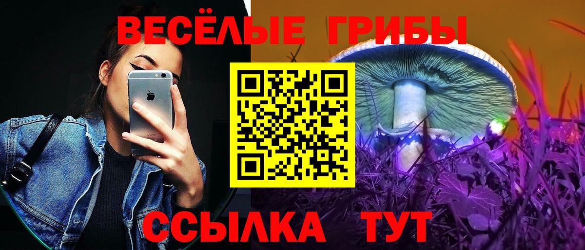 Галлюциногенные грибы Psilocybine cubensis Благодарный