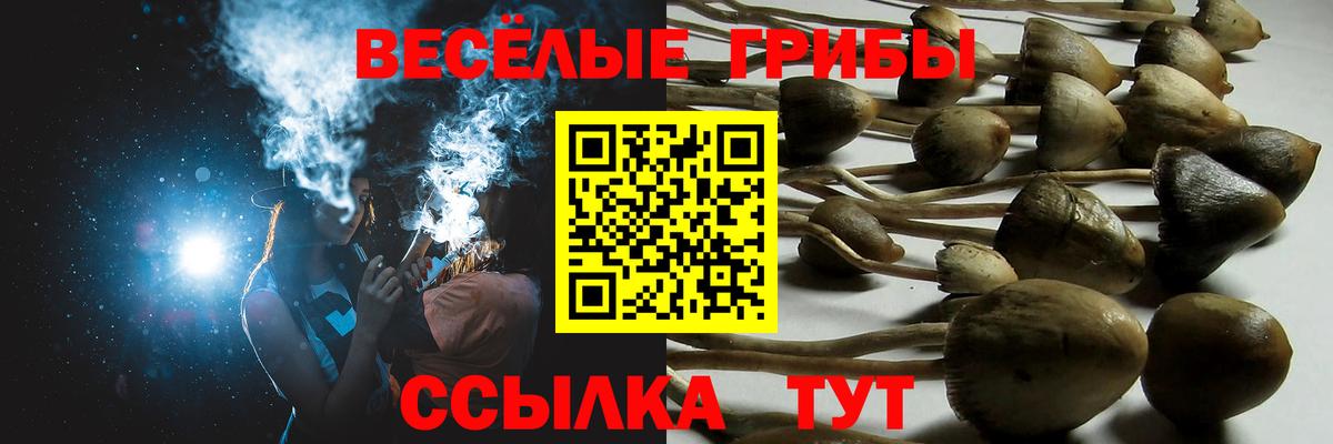 Псилоцибиновые грибы прущие грибы  Псилоцибиновые грибы Magic Shrooms  как найти закладки  Благодарный 